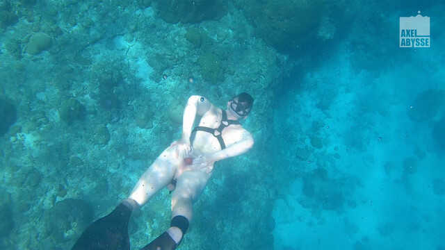 Freedive